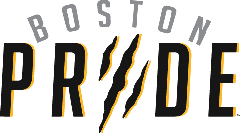 Boston Pride 2015-Pres Primary Logo iron on transfers for clothing